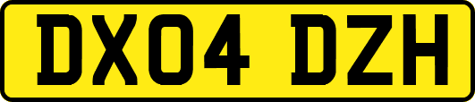 DX04DZH