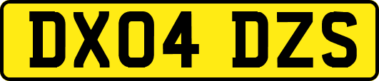 DX04DZS