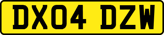DX04DZW