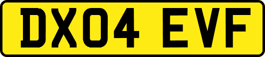 DX04EVF