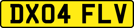 DX04FLV