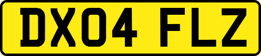 DX04FLZ