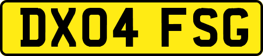DX04FSG