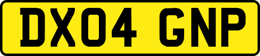 DX04GNP
