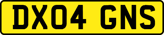 DX04GNS