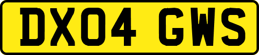 DX04GWS