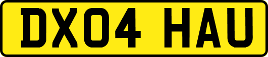 DX04HAU