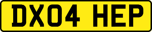DX04HEP