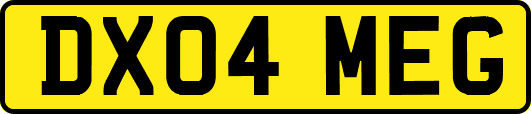 DX04MEG