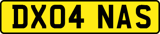DX04NAS