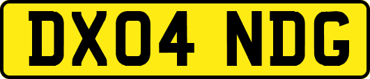 DX04NDG
