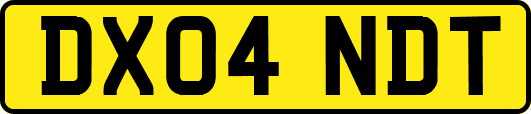 DX04NDT