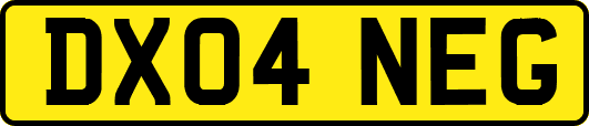 DX04NEG