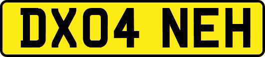 DX04NEH