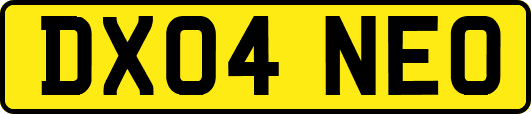 DX04NEO