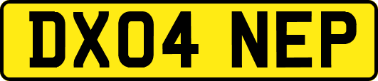 DX04NEP