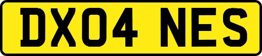 DX04NES