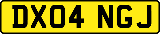DX04NGJ