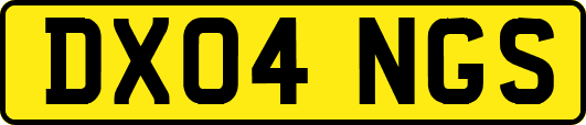 DX04NGS