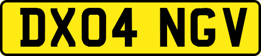 DX04NGV