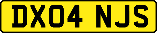 DX04NJS