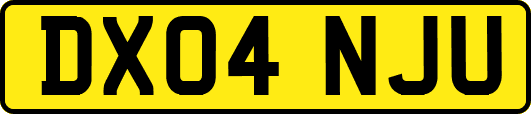 DX04NJU