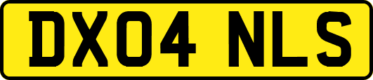 DX04NLS