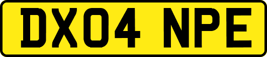 DX04NPE