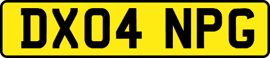 DX04NPG