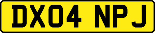 DX04NPJ
