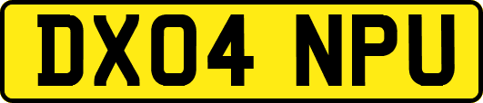 DX04NPU