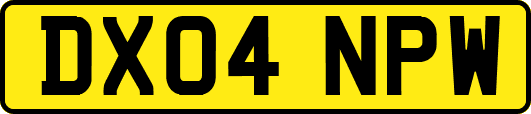 DX04NPW
