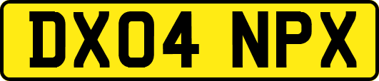 DX04NPX