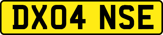 DX04NSE