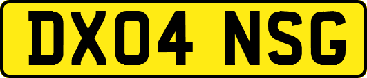 DX04NSG
