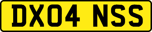 DX04NSS