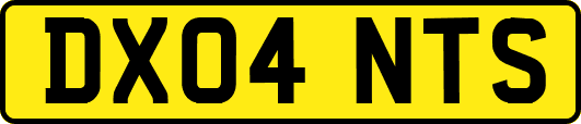 DX04NTS