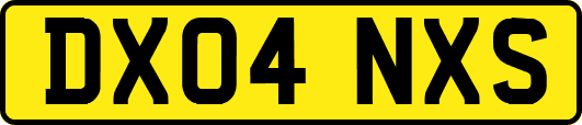 DX04NXS