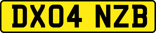 DX04NZB