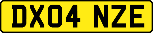 DX04NZE