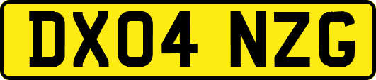 DX04NZG
