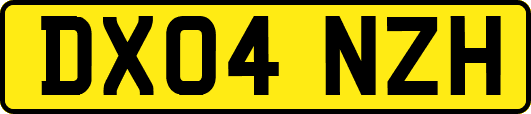 DX04NZH