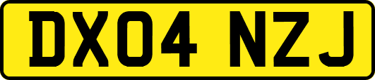 DX04NZJ