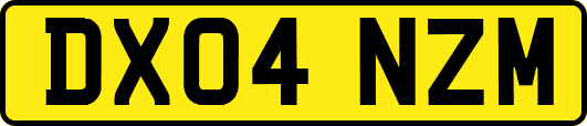 DX04NZM