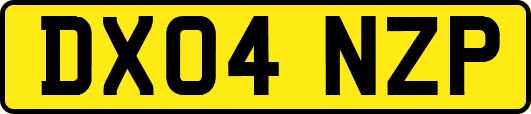 DX04NZP