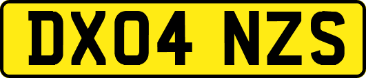 DX04NZS