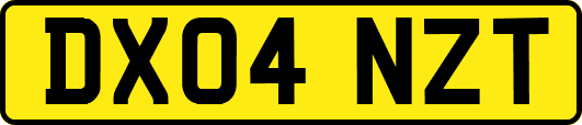 DX04NZT