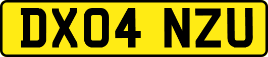 DX04NZU