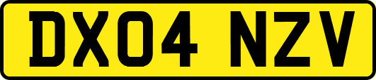 DX04NZV