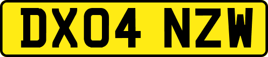 DX04NZW